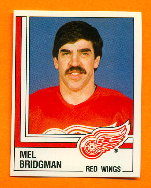1987 PANINI #249-Mel Bridgman