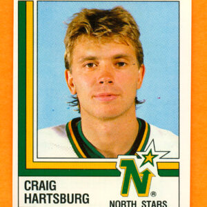 1987 PANINI #290-Craig Hartsburg