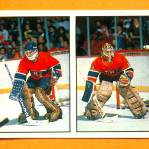 1987 PANINI #376-Patrick Roy