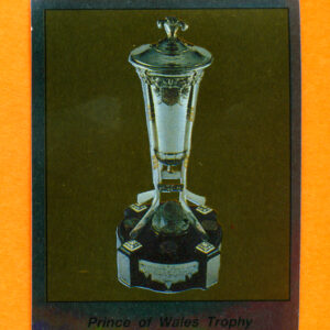 1987 PANINI #393-Prince-of Wales