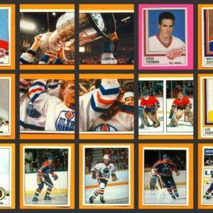 1987 Panini First Year NHL Hockey Stickers Set of 396 Robitaille Ranford Rookie