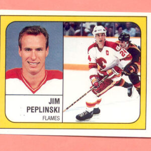 1988 PANINI #14-Jim Peplinski