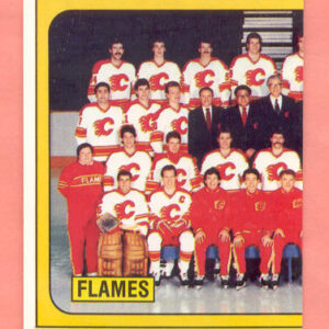 1988 PANINI #16-Mike Vernon