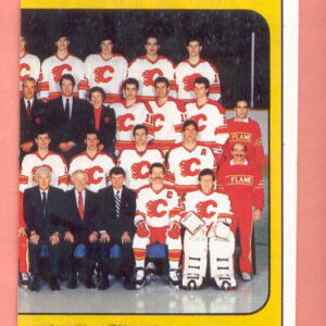 1988 PANINI #17-Mike Vernon