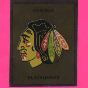 1988 PANINI #18- Logo