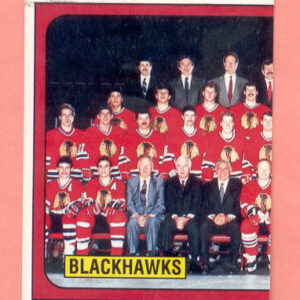 1988 PANINI #32-Denis Savard