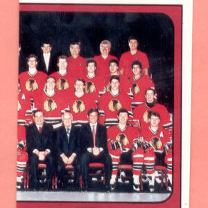 1988 PANINI #33-Denis Savard