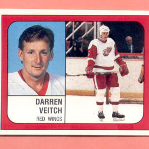 1988 PANINI #39-Darren Veitch