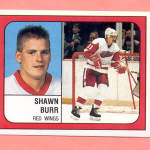 1988 PANINI #41-Shawn Burr