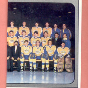 1988 PANINI #81-Luc Robitaille