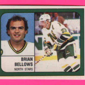 1988 PANINI #89-Brian Bellows