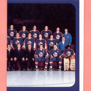 1988 PANINI #161-Dale Hawerchuk