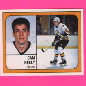 1988 PANINI #213-Cam Neely