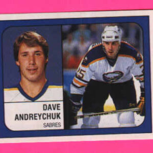 1988 PANINI #223-Dave Andreychuk