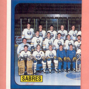 1988 PANINI #231-Dave Andreychuk