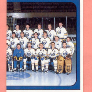 1988 PANINI #232-Dave Andreychuk