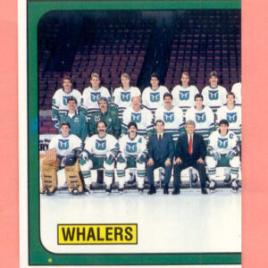 1988 PANINI #247-Ron Francis