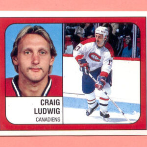 1988 PANINI #254-Craig Ludwig