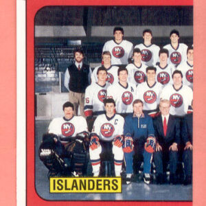 1988 PANINI #295-Pat LaFontaine