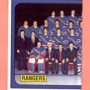 1988 PANINI #311-John Vanbiesbrouck