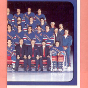 1988 PANINI #312-John Vanbiesbrouck