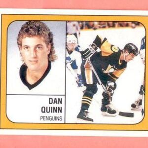 1988 PANINI #342-Dan Quinn