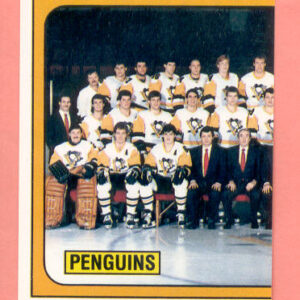 1988 PANINI #343-Mario Lemieux