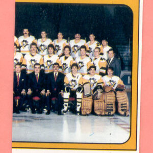 1988 PANINI #344-Mario Lemieux