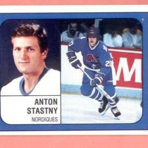 1988 PANINI #357-Anton Stastny