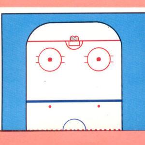 1988 PANINI #377-Hockey Rink