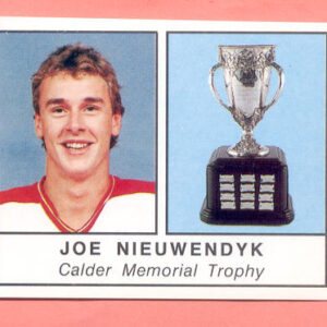 1988 PANINI #404-Joe Nieuwendyk
