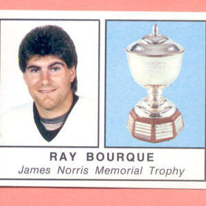 1988 PANINI #405-Ray Bourque