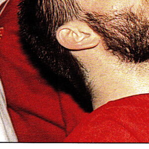 1989 PANINI #23-Stanley Cup