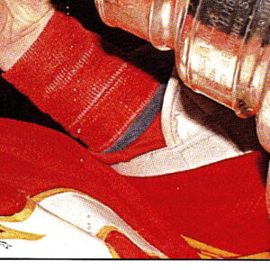 1989 PANINI #24-Stanley Cup