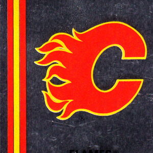 1989 PANINI #26- Logo