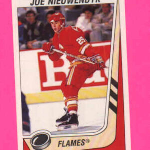 1989 PANINI #29-Joe Nieuwendyk