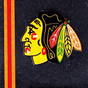 1989 PANINI #41- Logo