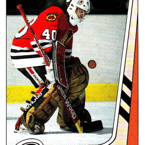 1989 PANINI #42-Darren Pang