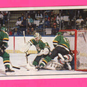 1989 PANINI #106-Kari Takko