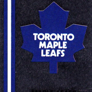 1989 PANINI #131- Logo