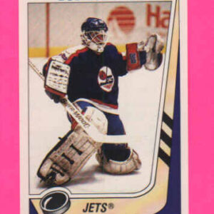 1989 PANINI #173-Bob Essensa