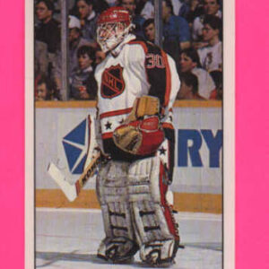 1989 PANINI #178-Mike Vernon