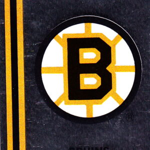 1989 PANINI #188- Logo