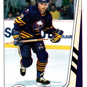 1989 PANINI #211-Ray Sheppard