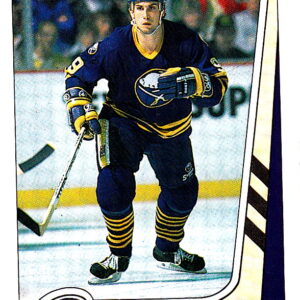 1989 PANINI #213-Scott Arniel