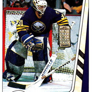 1989 PANINI #214-Daren Puppa