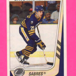 1989 PANINI #215-Dave Andreychuk