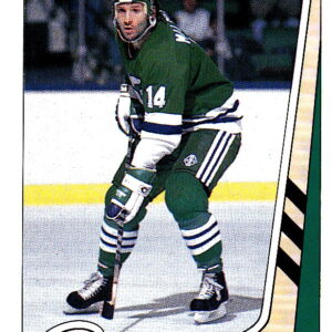 1989 PANINI #231-Don Maloney