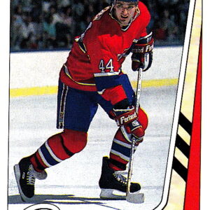 1989 PANINI #239-Stephane Richer