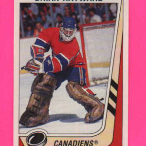 1989 PANINI #246-Brian Hayward